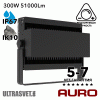 Светодиодный прожектор AURO-PRO-FL-SG2-300