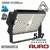 Светодиодный прожектор AURO-PRO-FL-SG2-300