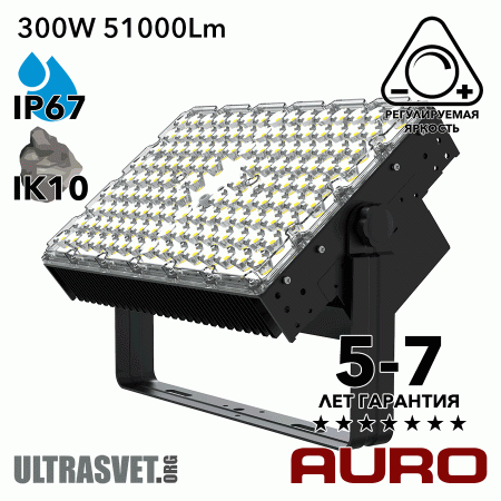 Светодиодный прожектор AURO-PRO-FL-SG2-300