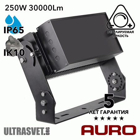 Мощный светодиодный прожектор AURO-PRO-FL-S1-250
